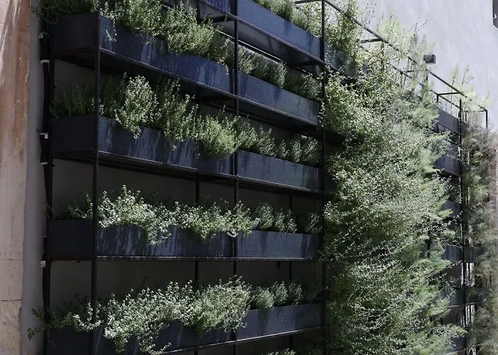 Habitat Boutique 4* קטאניה